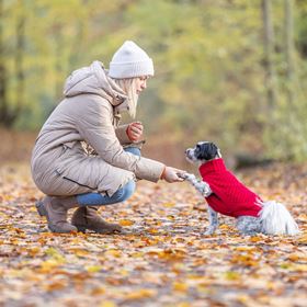 CAMISOLA "NORWOOD" PARA CÃES