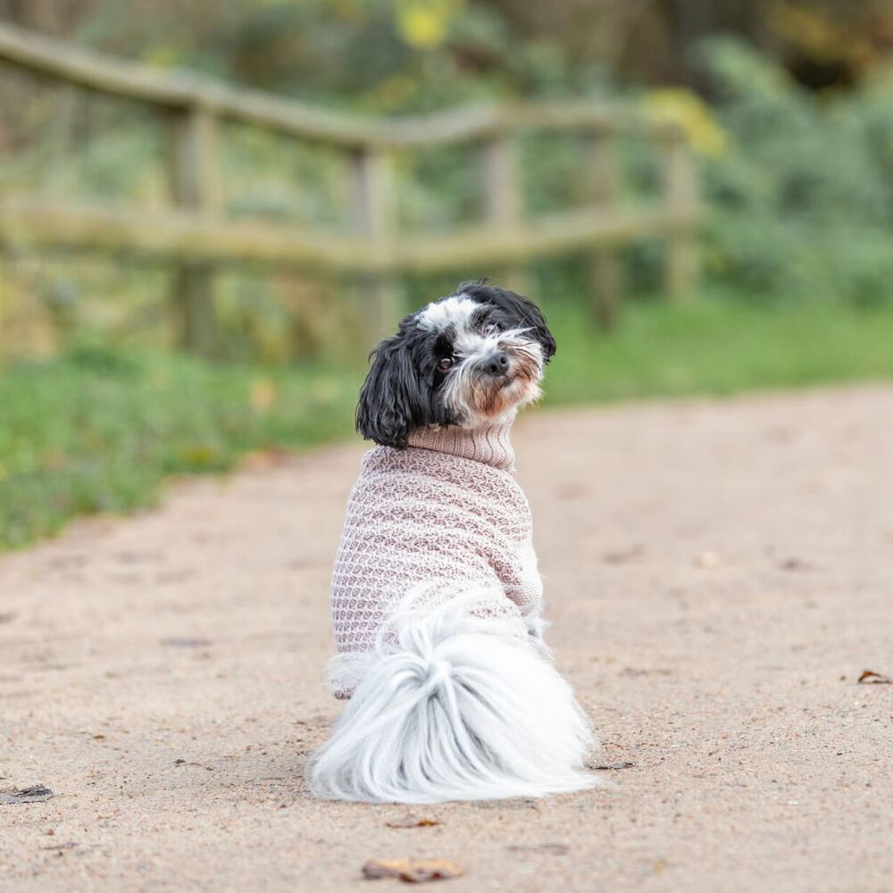 CAMISOLA "NORWOOD" PARA CÃES