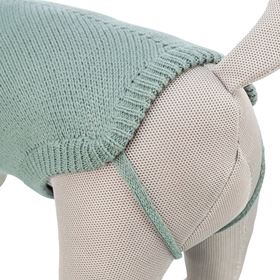 CAMISOLA "CITYSTYLE BERLIN" PARA CÃES
