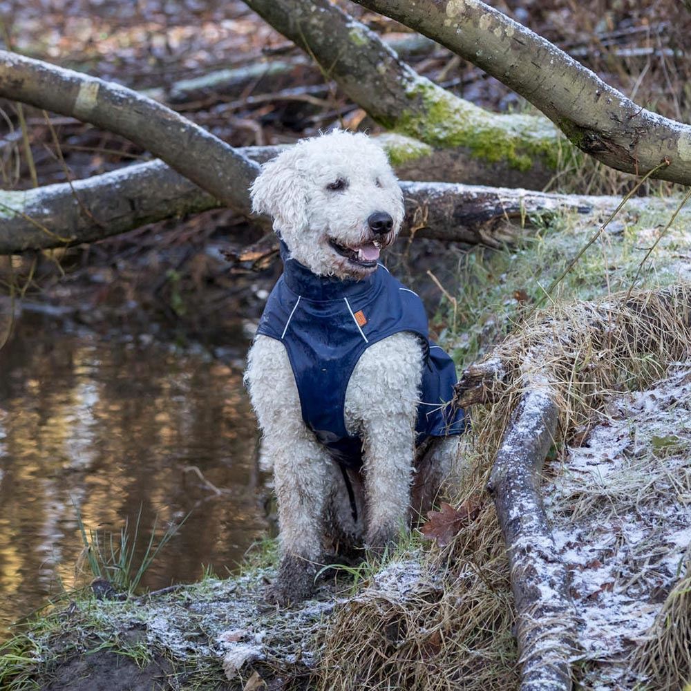 CAPA "BE NORDIC HUSUM" PARA CÃES