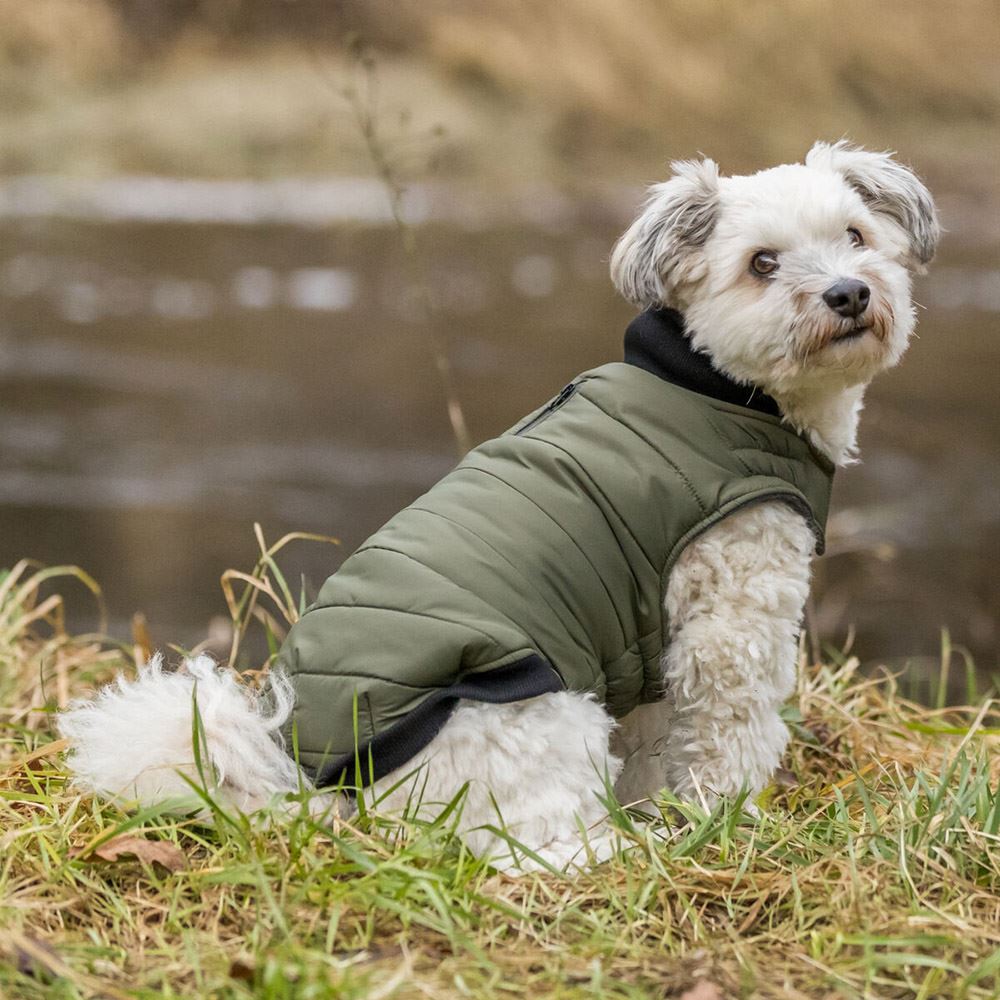 CAPA "ARLAY" PARA CÃES