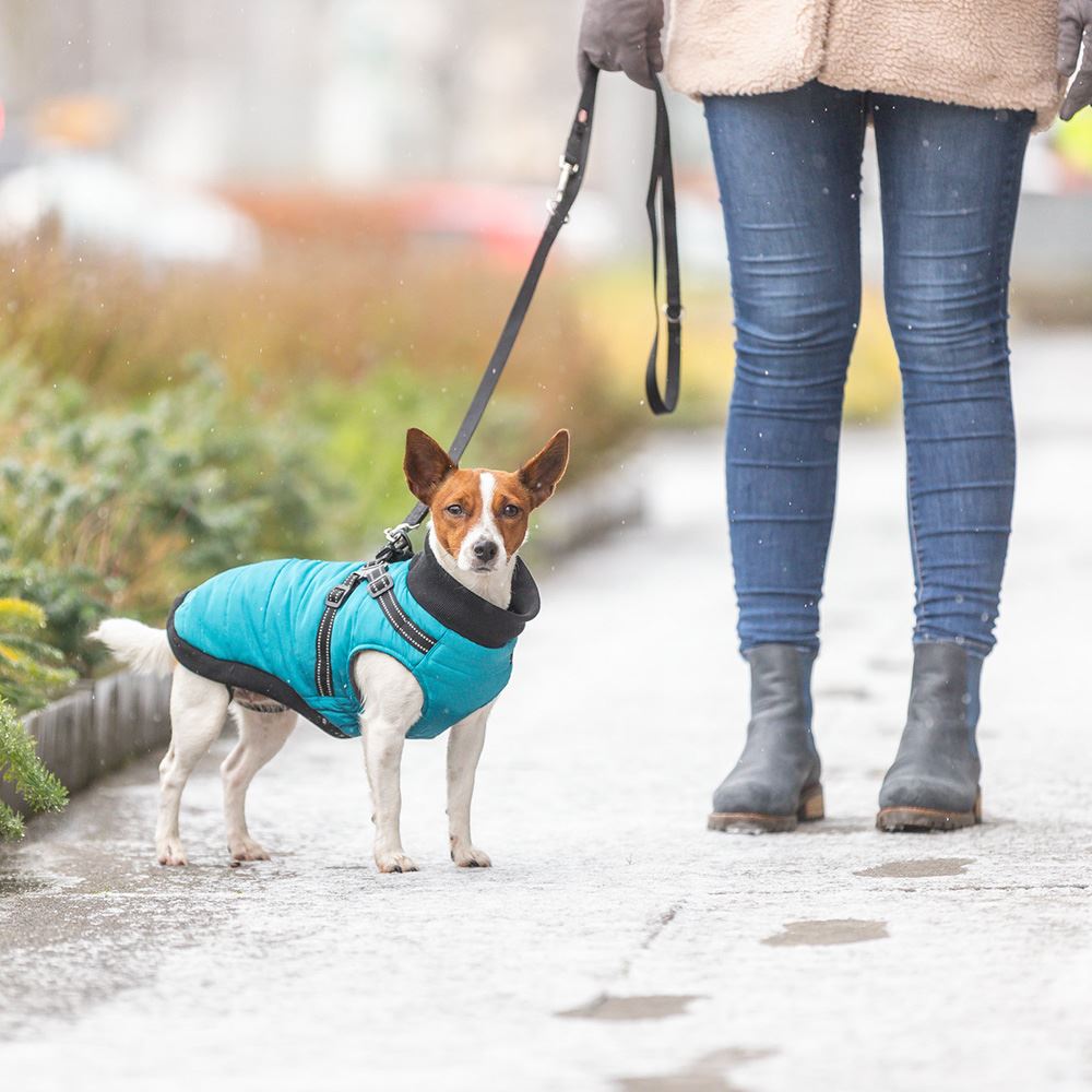 CAPA "PONTIS" COM PEITORAL PARA CÃES