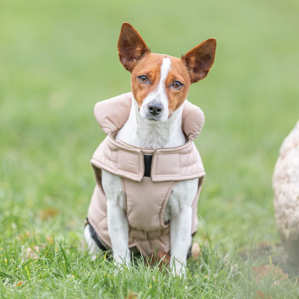 CAPA "LESMONT" PARA CÃES