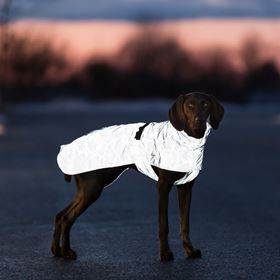 CAPA "LUNAS" PARA CÃES