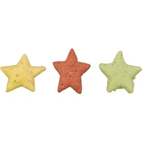 CATNIP STARS COM SALMÃO