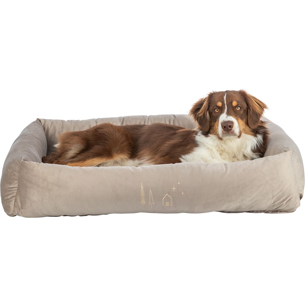 CAMA "XMAS LIVIA"