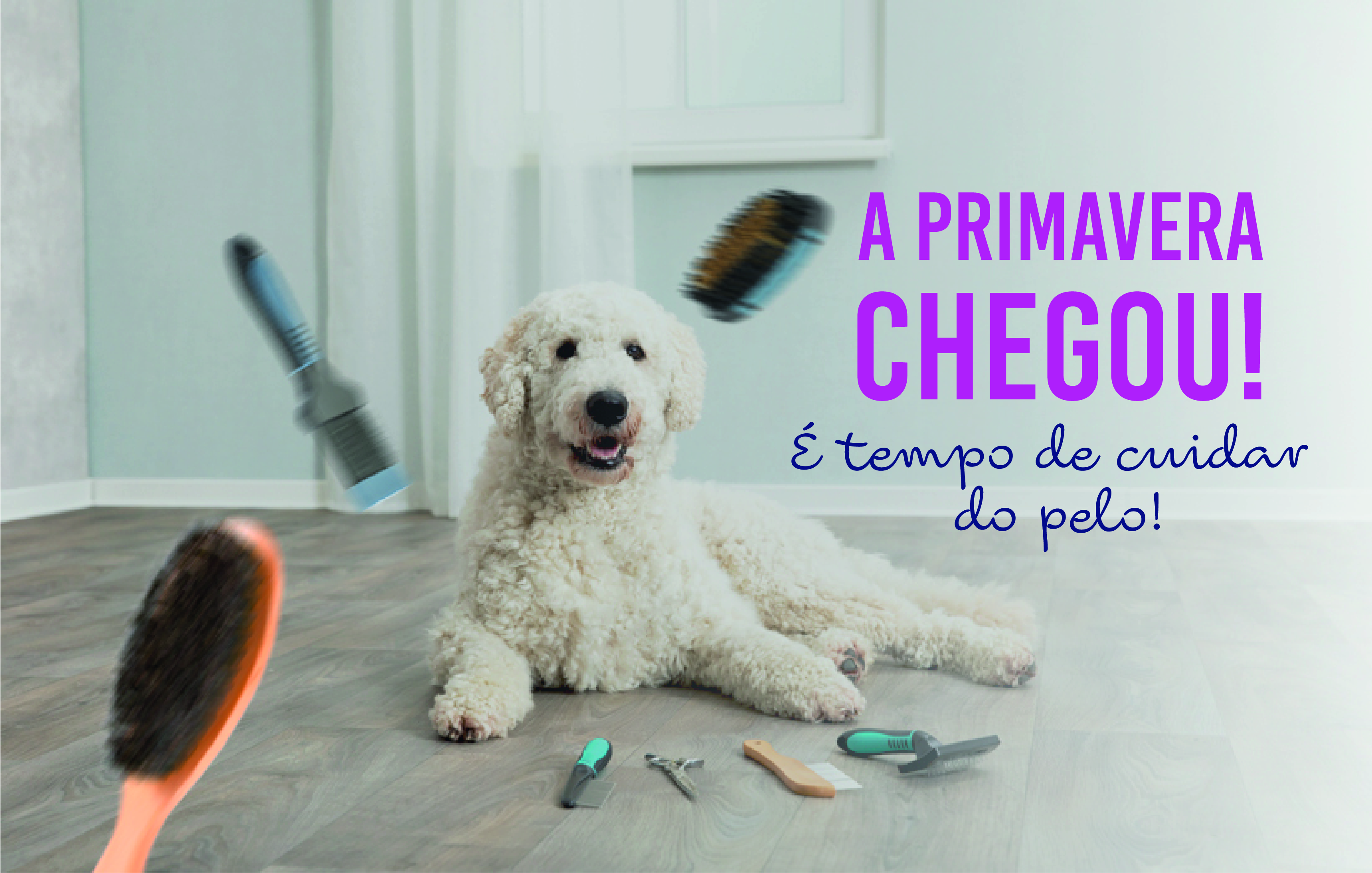 https://bo.fafezoo.com/FileUploads/banners/homepage/banner_acessorios_grooming_omnipetz.jpg